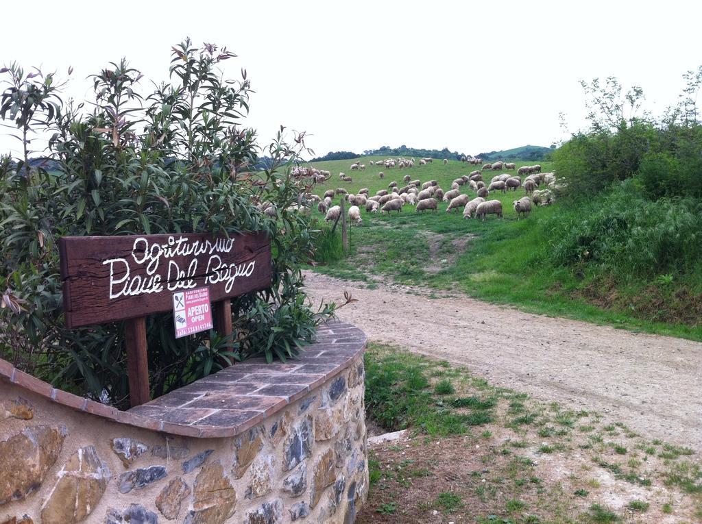 サトゥルニア Piane Del Bagnoヴィラ エクステリア 写真