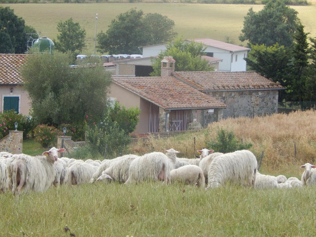 サトゥルニア Piane Del Bagnoヴィラ エクステリア 写真